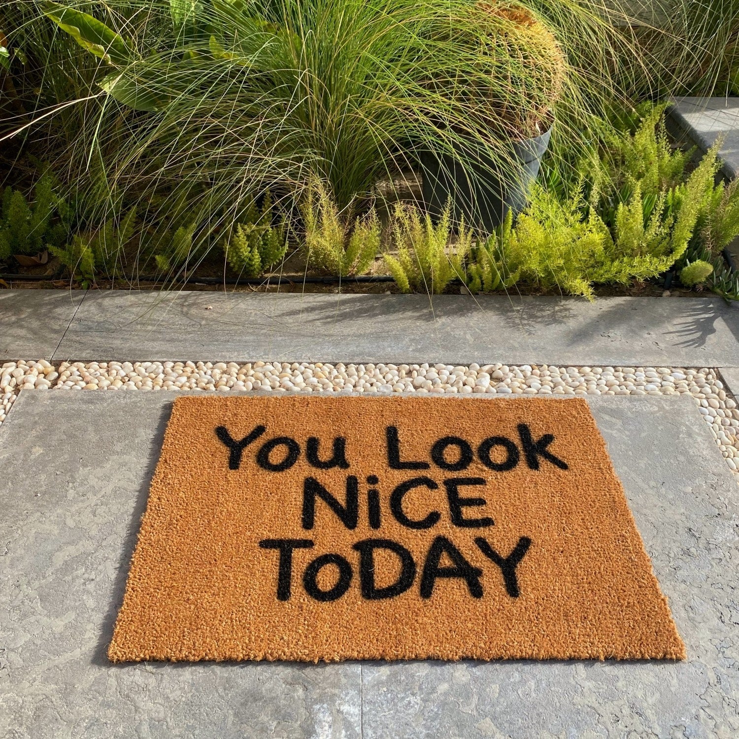 You Look Nice