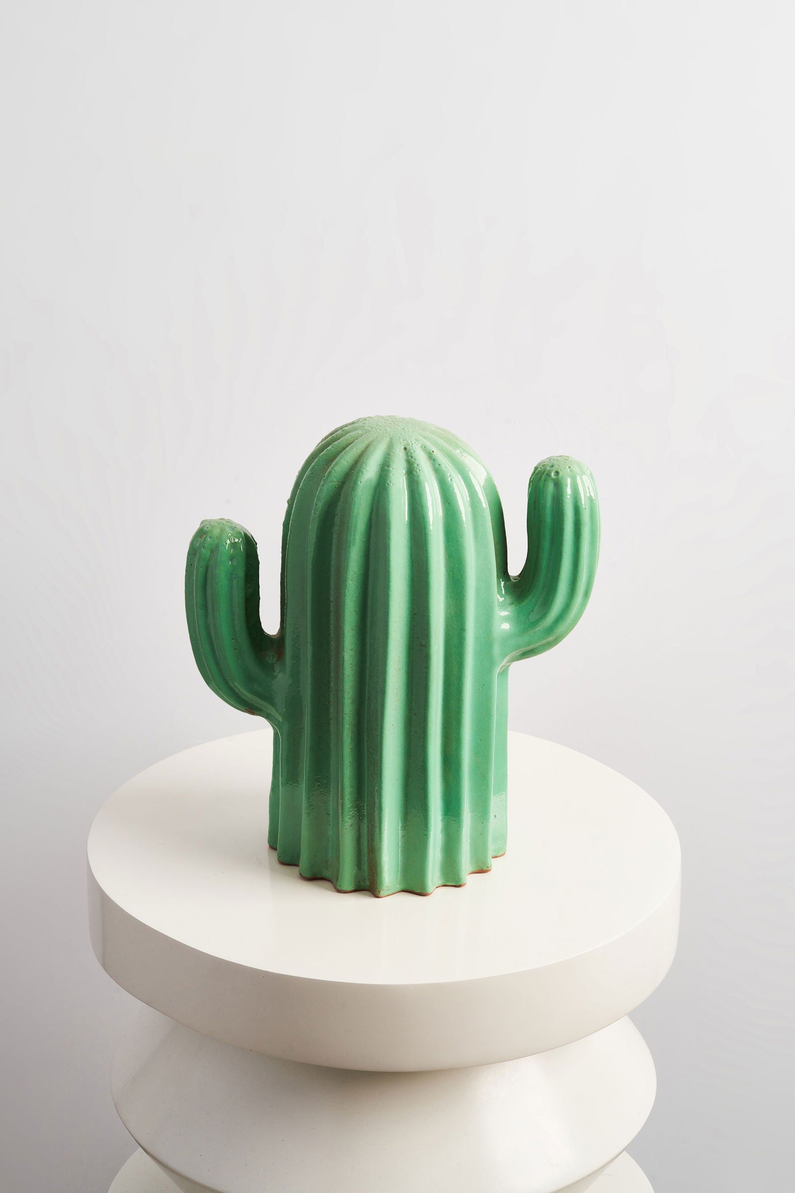 The Mini Clumsy Cactus - TheMatHomes